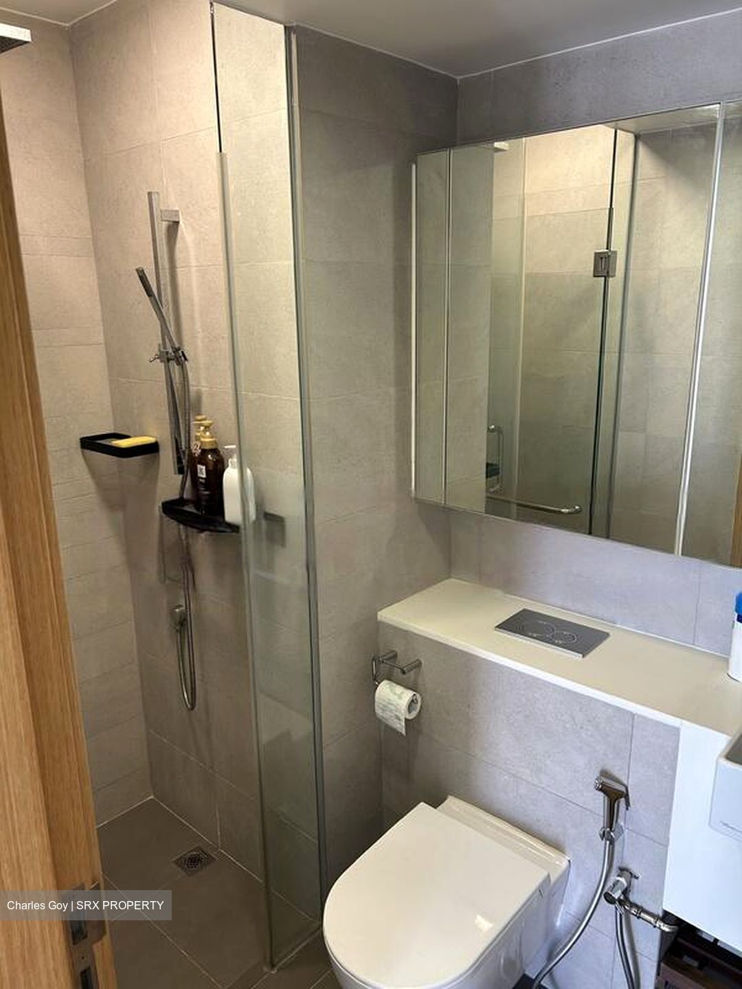 Eight Riversuites (D12), Condominium #516140501